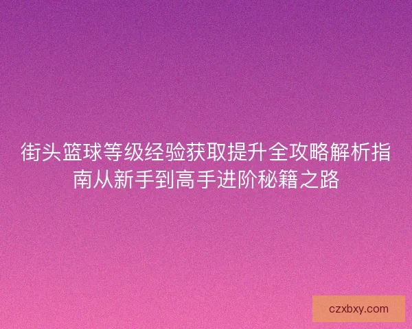 街头篮球等级经验获取提升全攻略解析指南从新手到高手进阶秘籍之路
